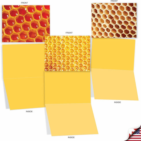 The Best Card Company 10 Assorted Blank Notes Box Set 4 x 5.12 Inch with Envelopes (10 Designs, 1 Each) - Boxed