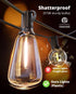 60FT 26+2 ST38 Bulbs, 2700K VIPAR Outdoor String Lights LED Patio Lights LED Waterproof with Shatterproof Edison