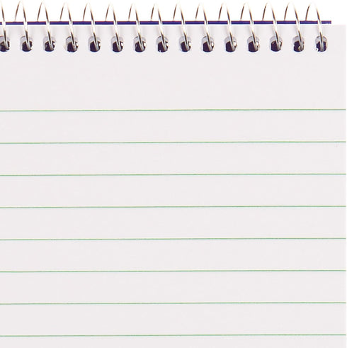 Blueline Reporter Notebook / Note Pad, 4 x 8 inches, 160 Pages / 80 Sheets (AT8B)