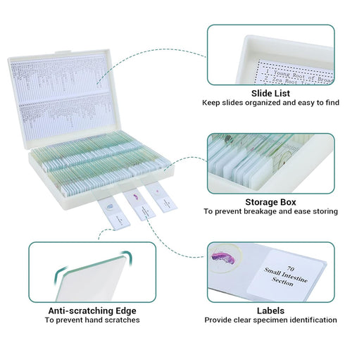 100 Microscope Slides with Specimens for Kids, Prepared Slides with Plants, Animals, Insects for Homeschool Use