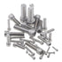 #2-56 to 5/16"-18 UNC Stainless Steel Hex Socket Head Cap Screws/Bolts Assortment Kit