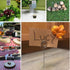 Rustic Real Wood Base Table Number Holders, 20pcs Wedding Table Number Stands, Party Decoration
