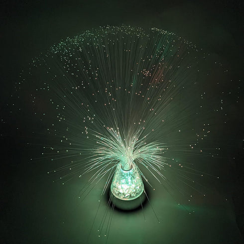 CXVX 13.5" Colour Changing Fibre Optic Crystal Lamp - Mood Lamps for Bedroom Living room study room, Fiber Optic Night