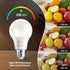 VOLIVO 12 Pack A19 LED Light Bulbs, Daylight 5000K, 9W (60 Watt Equivalent), 800 Lumens, E26 Base