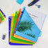 Multicolor Plastic Binder Dividers with One Front Pocket, Tab Binder Divider for 3 Ring Binder, 10 Pack