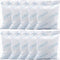 10Pcs 100 Gram Silica Gel Packets, Pure and Safe Desiccant Packs for Moisture Control and Storage