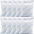 10Pcs 100 Gram Silica Gel Packets, Pure and Safe Desiccant Packs for Moisture Control and Storage