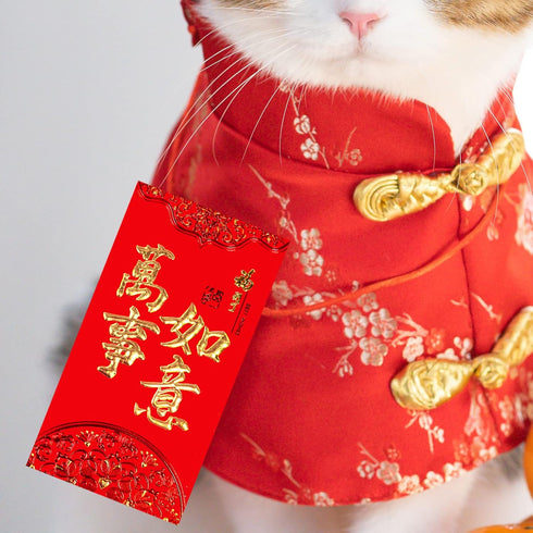 Winlyn 120 Pcs Asian Red Envelopes, 6 Designs for Chinese Hong Bao, Lucky Money Envelopes for Lunar New Year 2024