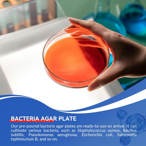 iigala (10 Nutrient Agar Petri Dishes Science Project Kit | Pre-Poured Agar Plates and Cotton Swabs for Science
