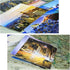 Xtin 30 pcs Travel Vintage Postcards, Landscape Photos Art Print Postcard Set for Kids with Mailing Side