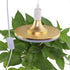 E26/E27 21FT Bulb Bulb (21ft 1 2 Rextin Double LED Light socket extension cord with On/Off switch and US AC Power Plug