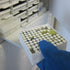 ChromaLabel 1/2 Inch Circle Sticker Labels, Easy to Write On, Removable Sticky Dots, 1000 Orange Dot Label Stickers per