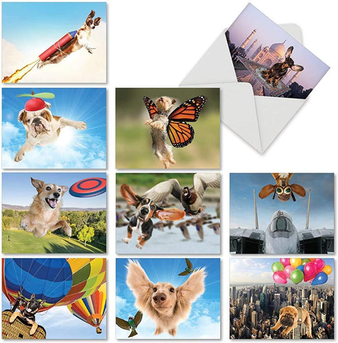 The Best Card Company 10 Funny Dog Thank You Cards, Boxed All Occasion Gratitude Stationery (4 x 5.12 Inch)