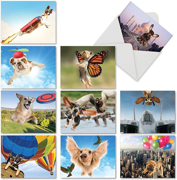 The Best Card Company 10 Funny Dog Thank You Cards, Boxed All Occasion Gratitude Stationery (4 x 5.12 Inch)
