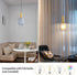 AOJUNSANSAN 2 Pack Mid Century Smoke Gray Glass Pendant Light Fixture Brushed Gold Pendant Lights Kitchen Island Modern