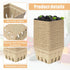 EXJEXJ 30 (30) Pcs Natural Pulp Fiber Berry Basket Small Vented Berry Picking Basket Small Container Holder for Fruits