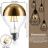 Bulb, 6W( 60W Bulbs,Dimmable G80/G25 2700K White,E26 ,Pack 2 1pcs Half Chrome Edison Light Eqv.) LED Edison Globe