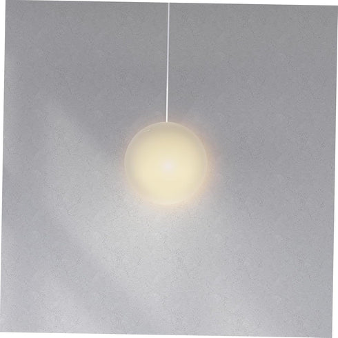 Frosted Glass Globe Lamp Shade Replacement Lampshade for Pendant Light Fixture Lightweight Cover Softens Light