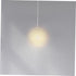 Frosted Glass Globe Lamp Shade Replacement Lampshade for Pendant Light Fixture Lightweight Cover Softens Light