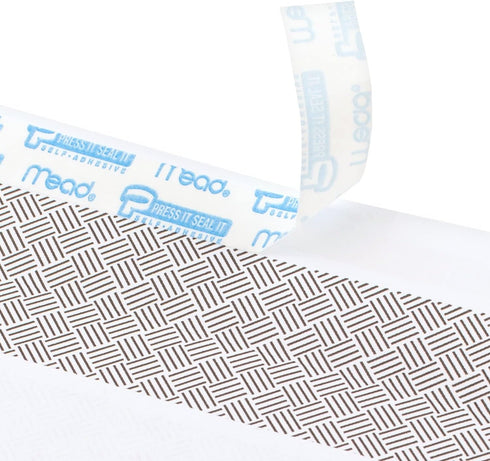 Mead Envelopes, Letter Size #10, Security Tinted Self Seal Envelopes, 4-1/8 x 9.5”, 200 per Pack (742020)