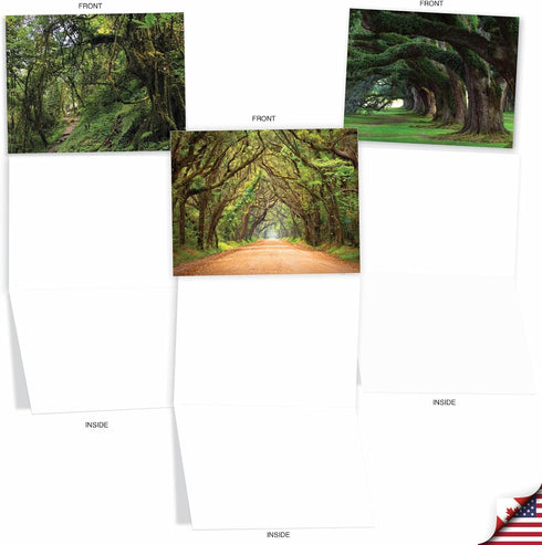 The Best Card Company - 20 Blank Landscape Nature Note Cards (4 x 5.12 Inch) - Nature Trails (10 Designs, 2 Each)