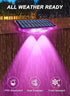 Mailbox, 6 IP65 (4 Pack) Solar Lights Outdoor for House Numbers, Address, Sign with RGB Colors/Warm White/Cool White
