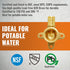 SUNGATOR 2 PCS Pex Fittings, 1/2 inch Drop Ear Elbow, 1/2" Pex to 1/2" Female NPT, No Lead Brass, ASTM F1807