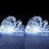 woohaha Solar String Lights, 2 Pack 100 LED Copper Wire Lights, Waterproof