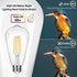 4-Pack Vintage 8W ST64 LED Edison Light Bulbs, 100W Equivalent, 1400 Lumens, 2700K Warm White, E26 Base, Non-Dimmable