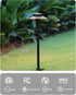 5W 2200K/2700K/3000K/4000K/5000K 20 Inch 12V Pack 1 Pathway Lights Low Voltage, Black, LED Wired Low Voltage Landscape