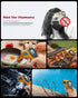 Infrared Thermometer: Digital Laser Non-Contact Surface Temperature Gun for Measuring Cooking Food, Pizza Oven, Grill