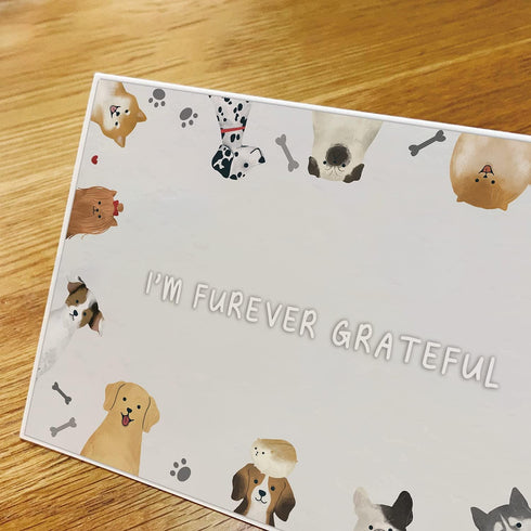 Spercy 48 Set, Pack 4 6 Dog Thank You Card Dog Pun Note Cards with Envelopes, Puppy Greeting Notecards Bulk, Cute Boxed
