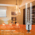 Tiqian 8-Pack 40W T10 Bulbs, White,Dimmable Bulbs E26 2700K, Incandescent LED Light Warm Clear Glass Edison Vintage