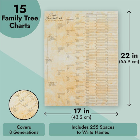 Okuna Outpost 15 Pack Family Tree Charts to Fill In, Off-White Poster Paper, 8 Generation Genealogy Charts