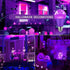 Purple Light Bulbs for Outdoor Porch - 9W E26 Base LED Bulb for Halloween, Christmas, Wedding, Party, 2-Pack