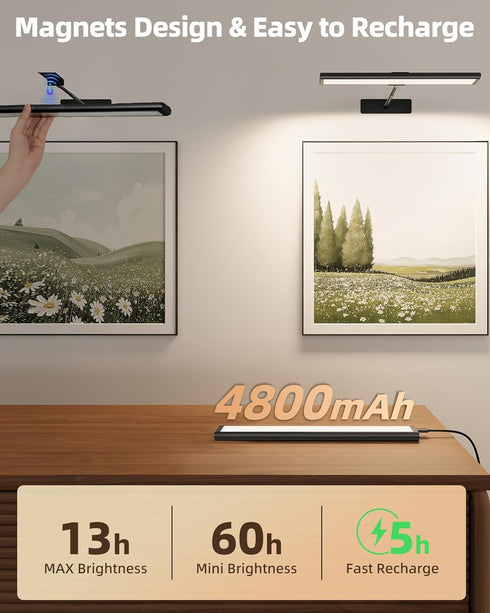 4800mAh 16In Dimmable EZVALO Picture Light for Wall, Rechargeable Wireless Battery Lights for Painting, Magnetic LED