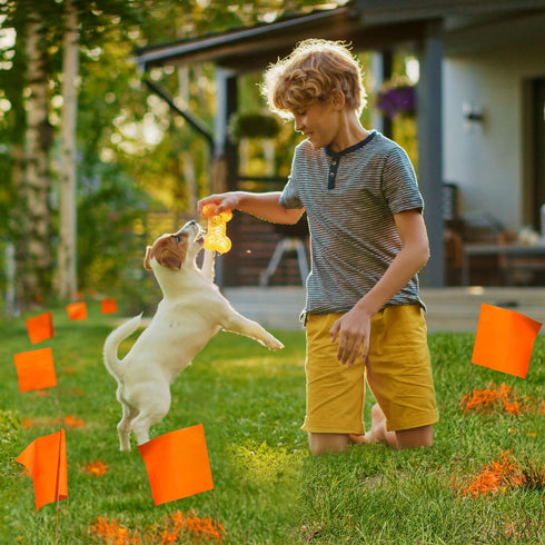 Zozen 50 Pack Marking Flags, Orange Yard Flags, 15x4x5 Inch, Lawn, Irrigation, Landscape Flags