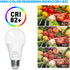 ORALUCE A19 LED Light Bulb, 12W, 100 Watt Equivalent, 1200LM, 6500K Cool White, E26 Base, Non-Dimmable, Energy