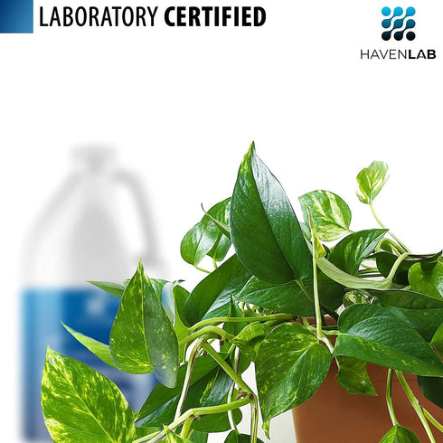 Deionized Water, 1 Gallon Demineralized Purification Softener for Cleaning, Automotive, Laboratory, and Plants