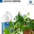 Deionized Water, 1 Gallon Demineralized Purification Softener for Cleaning, Automotive, Laboratory, and Plants