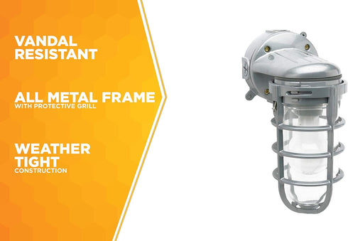 L1707SV 150W Woods Traditional Incandescent Weather Industrial Light, Wall Mount, Silver,Large