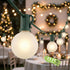 25FT G40 Frosted Christmas Lights,Globe Christmas Lights with 27 Frosted White Bulbs,Outdoor