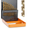 Lichamp Left Hand Drill Bit Set, 13-Piece Genuine M2 HSS Twist Reverse Bits, Sizes from 1/16 to 1/4 inches