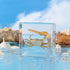 Hudirgo Taxidermy Fiddler Crab in Resin - Real Taxidermy Animals Have Unique Collection Significance, Oddities Gifts