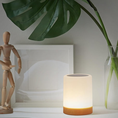 Rechargeable Multicolor Touch Lamp with USB Cable
