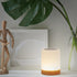 Rechargeable Multicolor Touch Lamp with USB Cable
