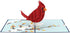 Lovepop Everyday Pop-Up Card, 3D Thinking of You Greeting Card for Her and Him - 5" x 7" Blank Note Card