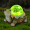 Solar Turtle Garden Statue Lights for Outdoor Decor with Succulent and LED