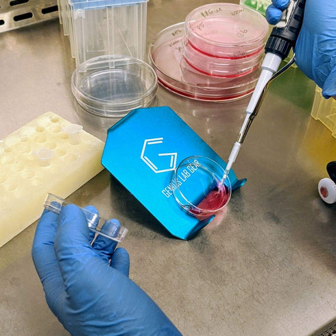 Angled Petri Dish Holder, Ergonomic Cell Culture Plate Media Transfer Helper, 2 Pack