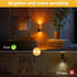 0-100 Dimmable 1 Pack L LOHAS LED Night Light, Flameless Candle Night Light Plug into Wall, LM Nightlight, Plug